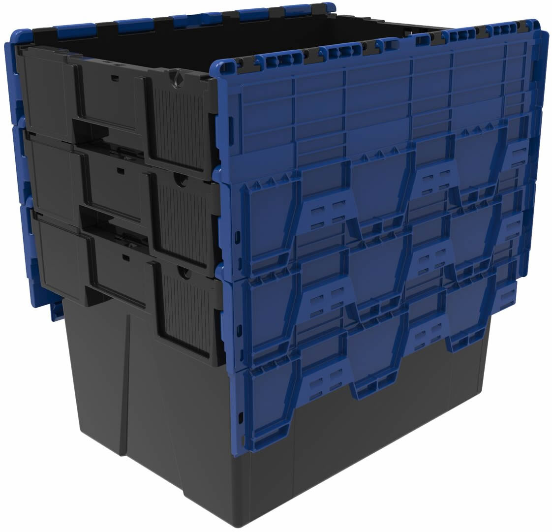 Black-Blue-ALC365-345a.jpg