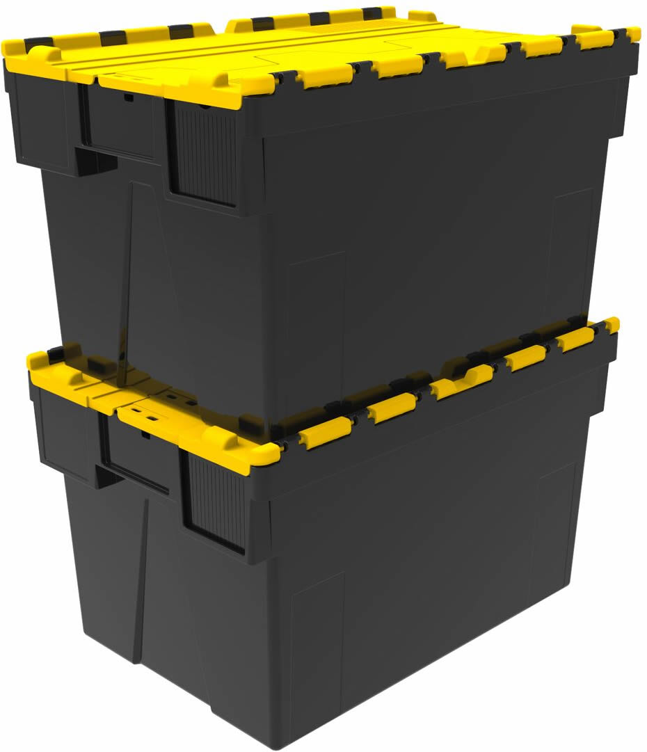Black-Yellow-ALC365-245a.jpg