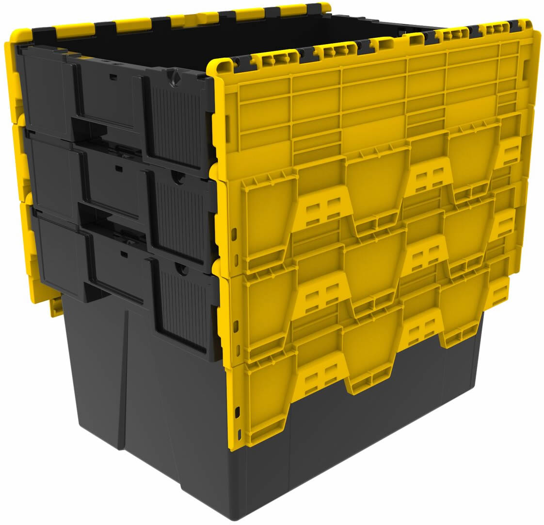 Black-Yellow-ALC365-345a.jpg